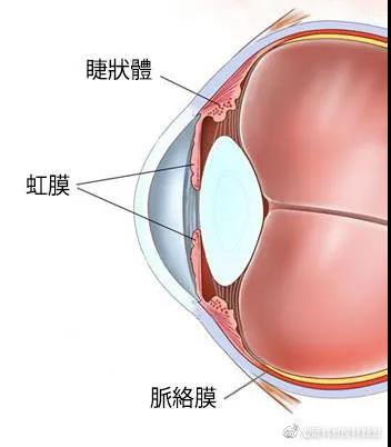 葡萄膜炎,红眼病,视力下降,惠州希玛眼科医院