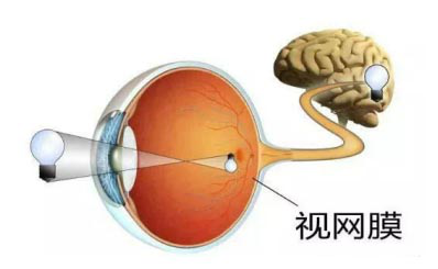 视网膜脱落,视网膜撕裂,近视手术,惠州希玛林顺潮眼科医院