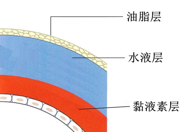 泪囊炎,慢性泪囊炎,眼底检查,惠州希玛眼科医院